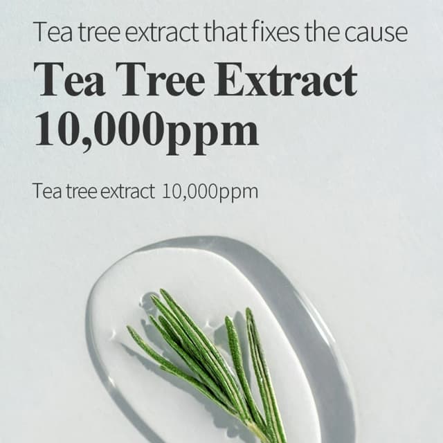 Bonajour Tea Tree Scalp Refreshing Shampoo