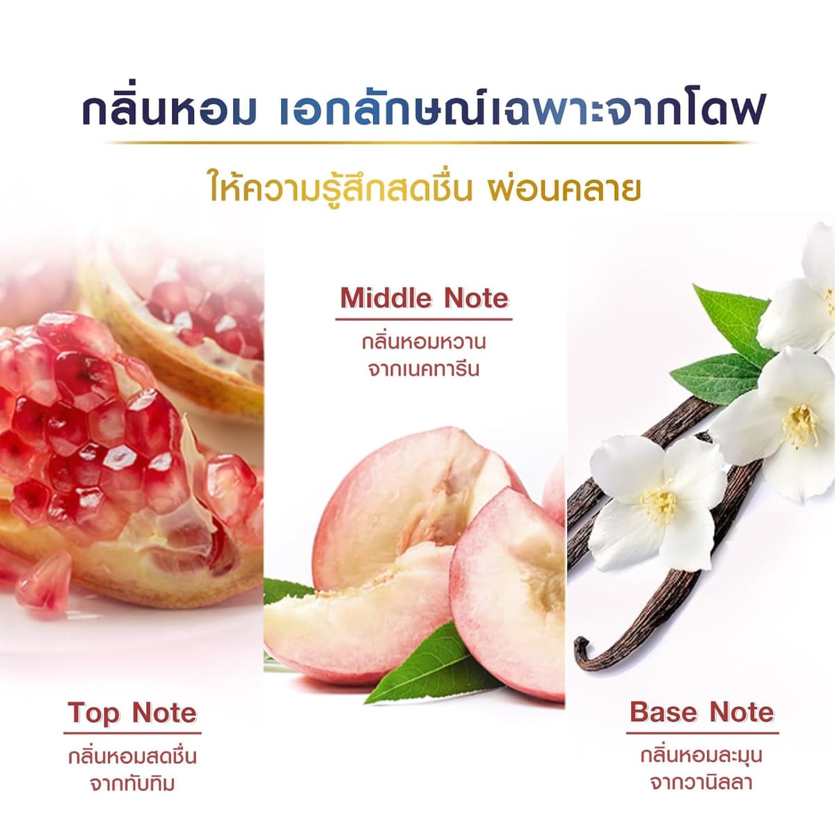 Dove Pomegranate Body Scrub
