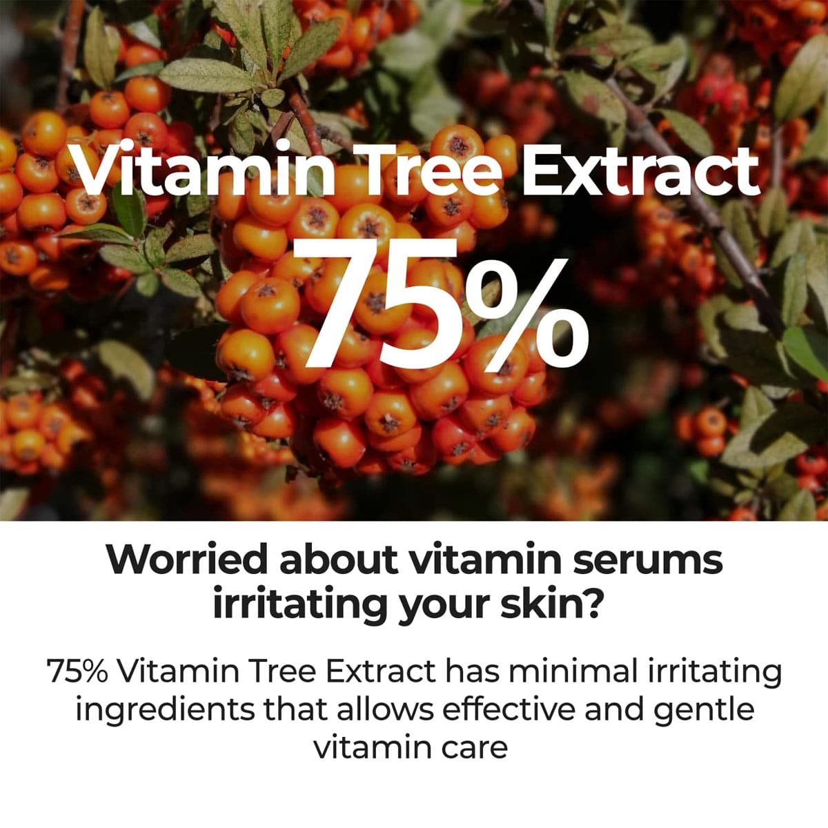 Numbuzin No.5 Goodbye Blemish Serum (Exp - Jun/2027)
