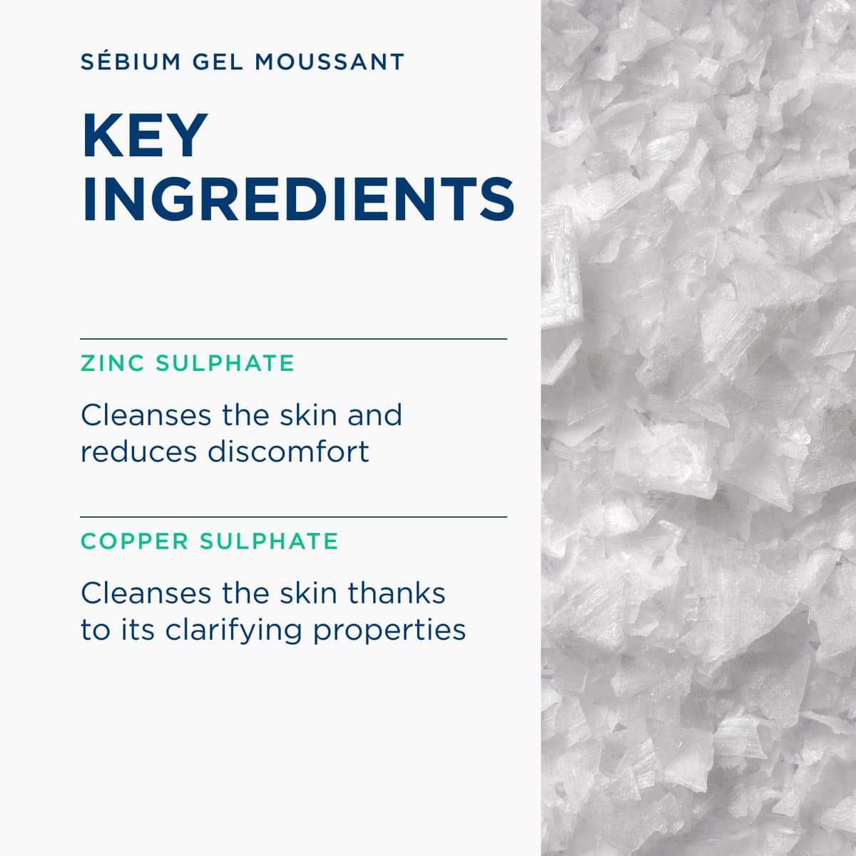 Bioderma Sebium Purifying Cleansing Foaming Gel