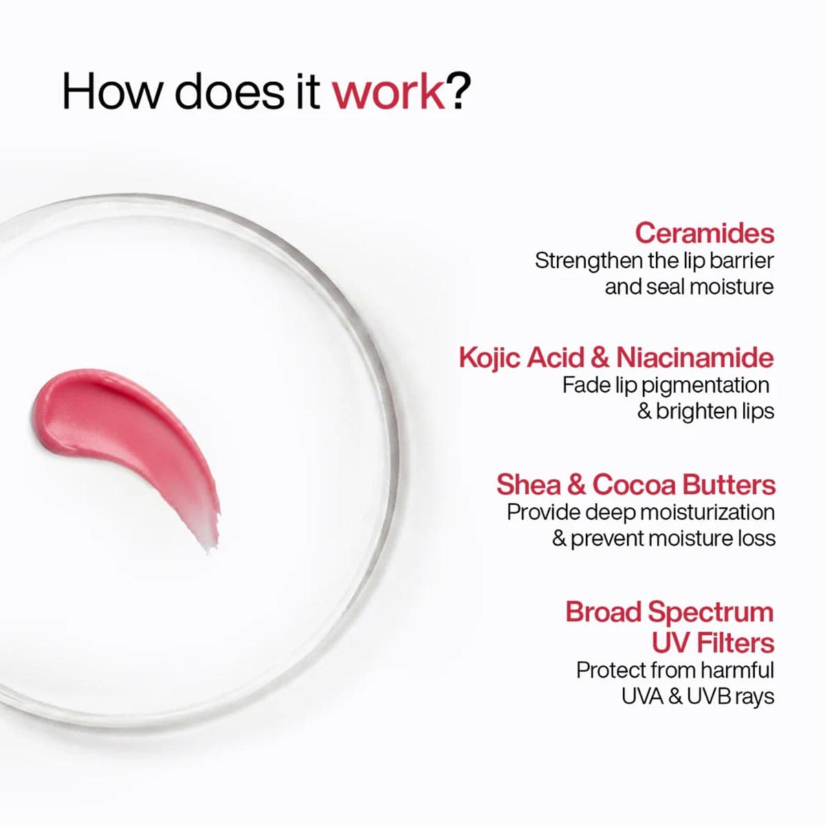 Wishcare Ceramide Lip Balm with SPF 50 PA+++