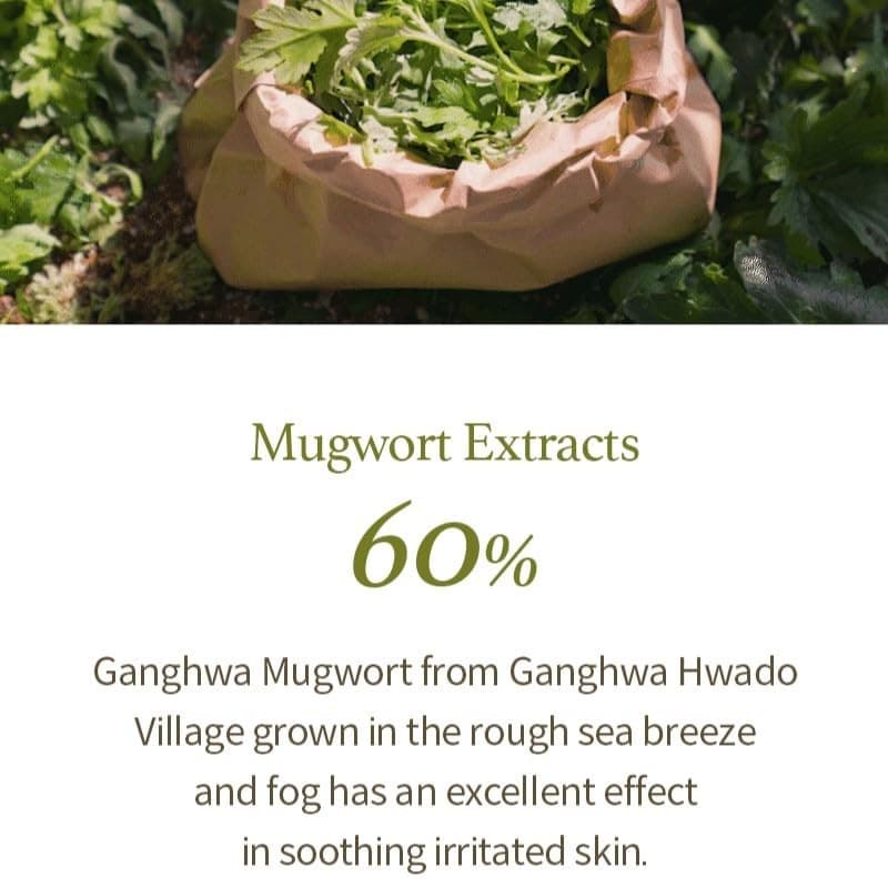 I’m From Mugwort Gel Cleanser