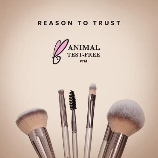 Swiss Beauty Professional Face & Eye Brush Set